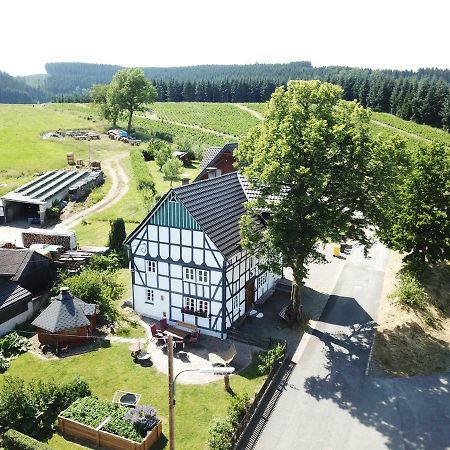 Ortmanns Eulennest Villa Finnentrop Dış mekan fotoğraf