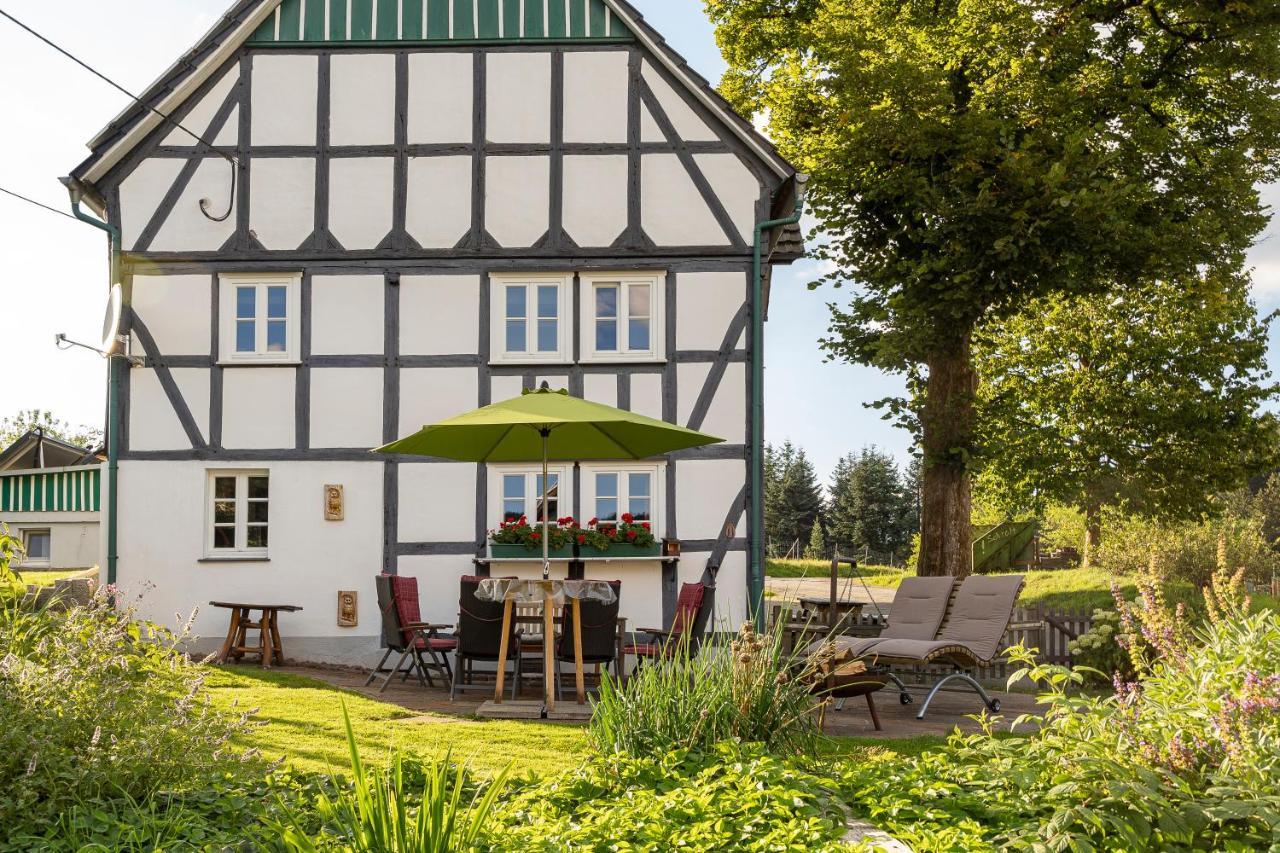 Ortmanns Eulennest Villa Finnentrop Dış mekan fotoğraf