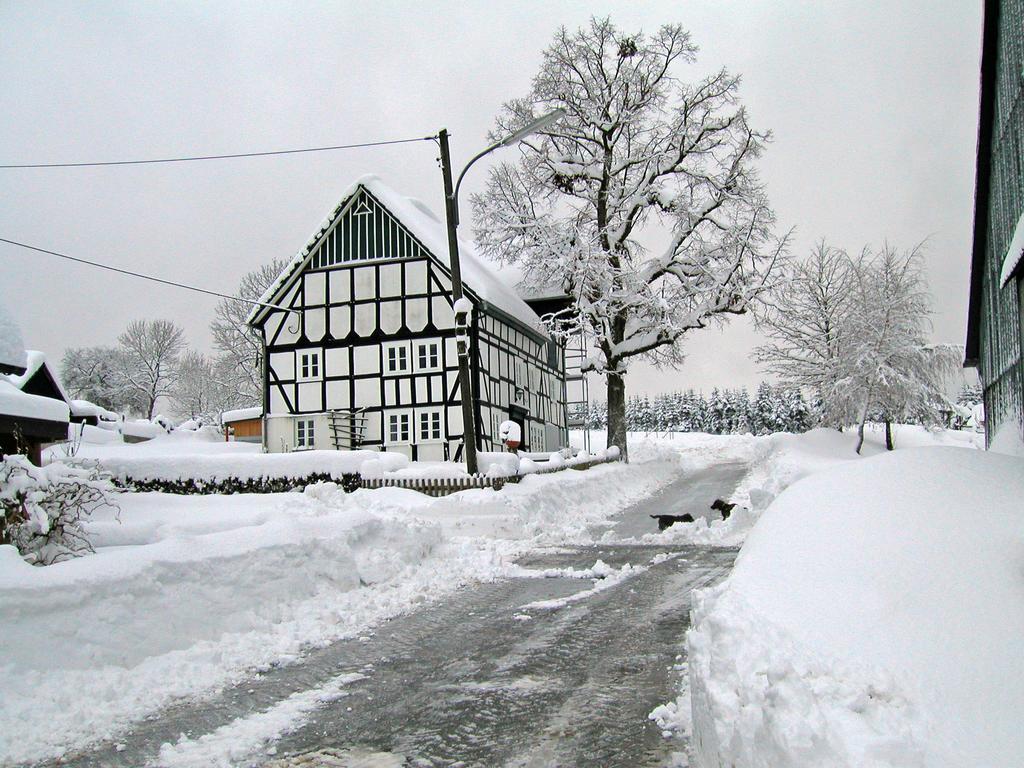 Ortmanns Eulennest Villa Finnentrop Dış mekan fotoğraf