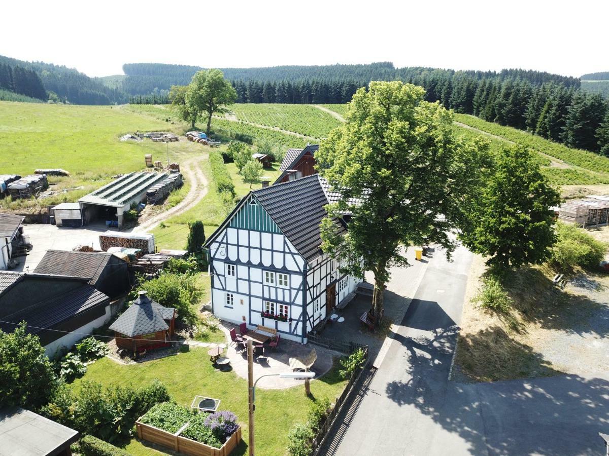 Ortmanns Eulennest Villa Finnentrop Dış mekan fotoğraf